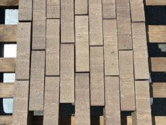 Pflasterklinker Riegel Penter grau Farbsopo